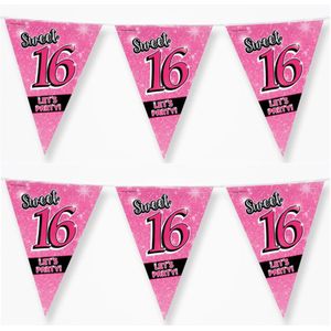 2x stuks sweet 16 slingers 10 meter roze - 16e Verjaardag - Vlaggenlijnen/slingers - Feestversiering