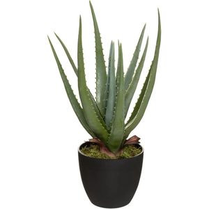 Atmosphera Aloe Vera Kunstplant In Pot van Cement 42 cm - Nepplanten