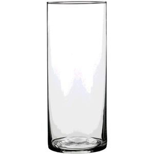 1x Ronde bloemen vaas/vazen van helder glas 30 x 12 cm - Voor verse of kunst bloemen en boeketten - Glazen vazen transparant