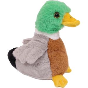 Pia Soft Toys Knuffeldier Wilde Eend - zachte pluche stof - kleurenmix - kwaliteit knuffels - 16 cm - Eenden - Vogels