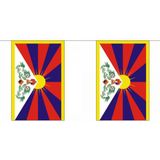 Luxe Tibet vlaggenlijn 9 m