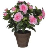3x stuks groene Azalea kunstplanten  met roze bloemen 27 cm in pot stan grey - Kunstplanten/nepplanten