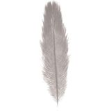 Chaks Pieten struisvogelveer/sierveer - 2x - licht grijs - 55-60 cm - decoratie/hobbymateriaal