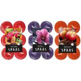 Candles by Spaas geurkaarsen - 36x stuks in 3 geuren - Wild Orchid - Appel-Cinnamon - Tropical Delight