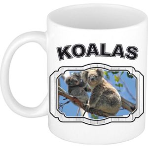 Dieren liefhebber koala beer mok 300 ml - kerramiek - cadeau beker / mok koalaberen liefhebber