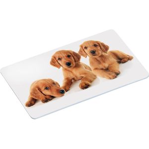 2x Ontbijtbordjes/ontbijtplankjes set puppy print 14 x 24 cm - Ontbijtborden servies voor kinderen