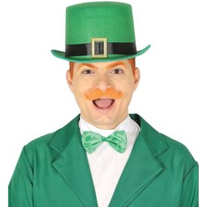Groene vilten St Patricksday hoed - Verkleedkleding voor volwassenen