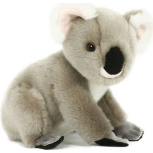 Pluche koala knuffel 20 cm speelgoed - Buideldieren knuffels/knuffeldieren/knuffels voor kinderen