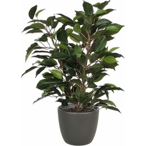 Groene ficus kunstplant 40 cm met plantenpot mat antraciet grijs D13.5 en H12.5 cm