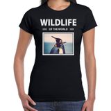 Dieren foto t-shirt Pinguin - zwart - dames - wildlife of the world - cadeau shirt pinguins liefhebber