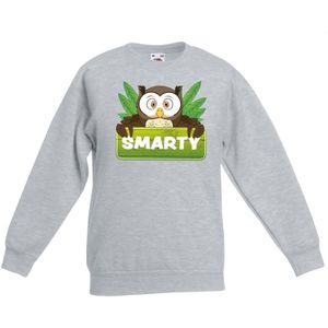 Smarty de uil sweater grijs voor kinderen - unisex - uilen trui - kinderkleding / kleding