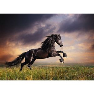 Dieren poster zwart paard galopperend A1 - 84 x 59 cm - Kinderkamer decoratie posters Friese paarden / hengst - Kinderposters - Cadeau paardenliefhebber