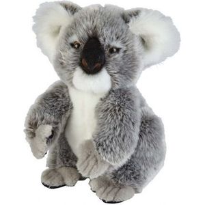 Pluche grijze koala knuffel 28 cm - Koala Australische buideldieren knuffels - Speelgoed voor kinderen