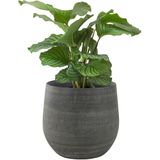 Steege Plantenpot - keramiek - modern - grijs - 36 x 32 cm