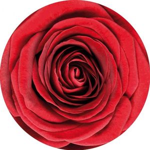 Bierviltjes onderzetters rode roos/rozen 30x stuks - Valentijn of bloemen thema