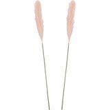 Mica Decorations Pluimgras losse steel/tak - 2x - pastel roze - 104 cm - Decoratie kunst bloemen