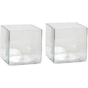 Vaas - vierkant - transparant - glas - 20 cm - Accubak - Glazen vazen - Woonaccessoires - warenhuis