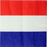 40x Nederland thema servetten 33 x 33 cm - Holland - Landen thema tafeldecoratie versieringen - Papieren servetjes