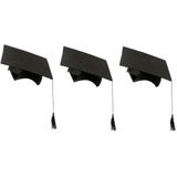 20x stuks 2-delige afstudeer hoeden geslaagd zwart met kwast voor volwassenen - Examen diploma uitreiking feestartikelen