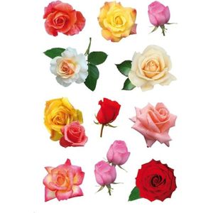 33x Gekleurde rozen bloemen stickers - kinderstickers - stickervellen - knutselspullen