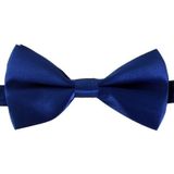 2x Blauwe verkleed vlinderstrikjes 12 cm voor dames/heren - Blauw thema verkleedaccessoires/feestartikelen - Vlinderstrikken/vlinderdassen met elastieken sluiting