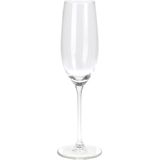 Champagneglazen - 8x - transparant - glas - 210 ml - proseccoglazen