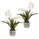 Set van 2x stuks witte orchidee kunstplanten in keramische pot 45 cm - Orchidaceae - Woondecoratie/accessoires - Kunstplanten - Nepplanten - Orchidee planten in pot