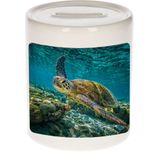 Dieren zee schildpad foto spaarpot 9 cm jongens en meisjes - Cadeau spaarpotten zee schildpad schildpadden liefhebber