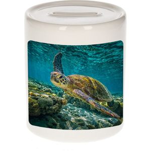 Dieren zee schildpad foto spaarpot 9 cm jongens en meisjes - Cadeau spaarpotten zee schildpad schildpadden liefhebber