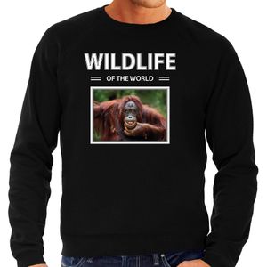 Dieren foto sweater Aap - zwart - heren - wildlife of the world - cadeau trui Orang oetan apen liefhebber