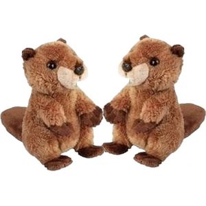 2x stuks pluche bruine bever knuffel 15 cm - Bevers knaagdieren knuffels - Speelgoed knuffeldieren/knuffelbeest voor kinderen