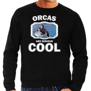 Dieren orka walvissen sweater zwart heren - orcas are serious cool trui - cadeau sweater grote orka/ orka walvissen liefhebber