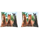 2x Sierkussens met paarden print 35 cm - Dieren kussentjes met paarden opdruk 35 cm