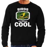 Dieren vogels sweater zwart heren - birds are serious cool trui - cadeau sweater wielewaal vogel/ vogels liefhebber