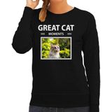 Dieren foto sweater rode kat - zwart - dames - great cat mowoments - cadeau trui katten liefhebber