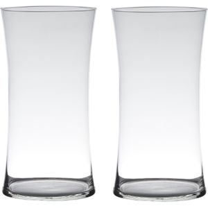 Set van 2x stuks transparante luxe stijlvolle vaas/vazen van glas 30 x 15 cm - Bloemen/boeketten vaas voor binnen gebruik