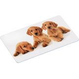 6x Ontbijtbordjes/ontbijtplankjes set puppy print 14 x 24 cm - Ontbijtborden servies - Onbreekbare bordjes voor babys/peuters/kleuters