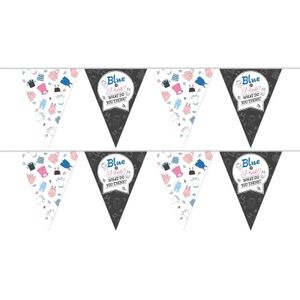 2x Vlaggenlijnen gender reveal party/feest slingers 10 meter - Gender reveal party decoratie