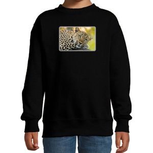 Dieren sweater met jaguars foto - zwart - voor kinderen - jaguar cadeau trui - sweat shirt / kleding