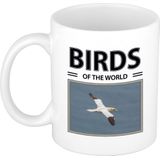 Dieren foto mok Jan van gent - 300 ml - birds of the world - cadeau beker / mok Jan van gent vogels liefhebber