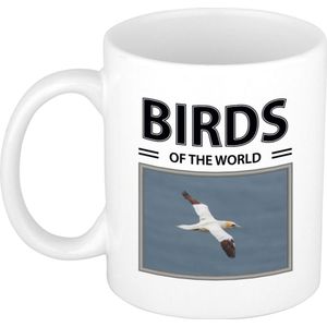 Dieren foto mok Jan van gent - 300 ml - birds of the world - cadeau beker / mok Jan van gent vogels liefhebber