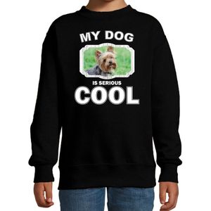 Yorkshire terrier honden trui / sweater my dog is serious cool zwart - kinderen - Yorkshire terriers liefhebber cadeau sweaters - kinderkleding / kleding