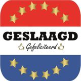 30x Bierviltjes Geslaagd Nederlandse vlag vierkant - Diploma/geslaagd/afgestudeerd feestartikelen