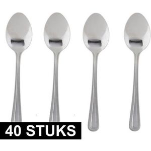 40x stuks sierlijke grote thee/dessertlepeltjes - bestek - 15 cm van RVS