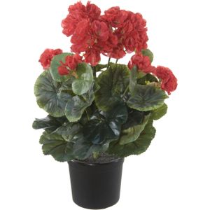 Rode geranium kunstplant in zwarte kunststof pot 35 cm - Pelargonium Graveolens - Woondecoratie