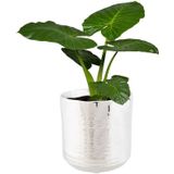 Cosy @ Home Bloempot Cerchio - zilverkleurig - keramiek - 11 cm - plantenpot