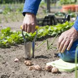 Bollenplantautomaat aardeschep tuinier handgereedschap 24 cm - Moestuin benodigdheden/gereedschap - Bloembollen planten