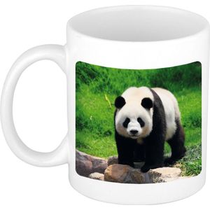 Dieren grote panda foto mok 300 ml - cadeau beker / mok pandaberen liefhebber