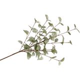 DK Design Kunstbloem Eucalyptus tak Silk - 3x - 72 cm - groen - losse steel - Kunst zijdebloemen