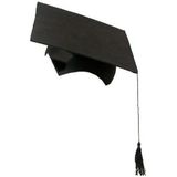 2x stuks 2-delige afstudeer hoeden geslaagd zwart met kwast voor volwassenen - Examen diploma uitreiking feestartikelen